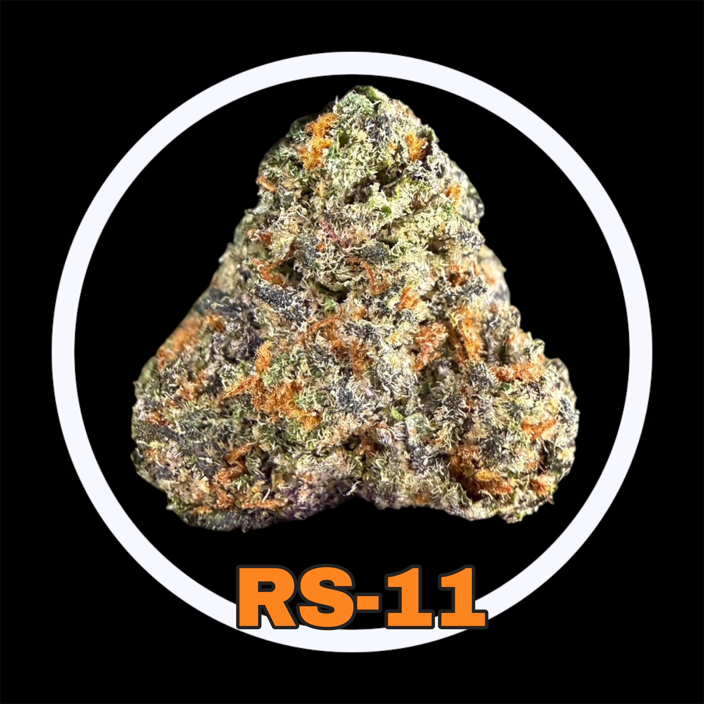 21-03-26 08-27-55pm.jpg